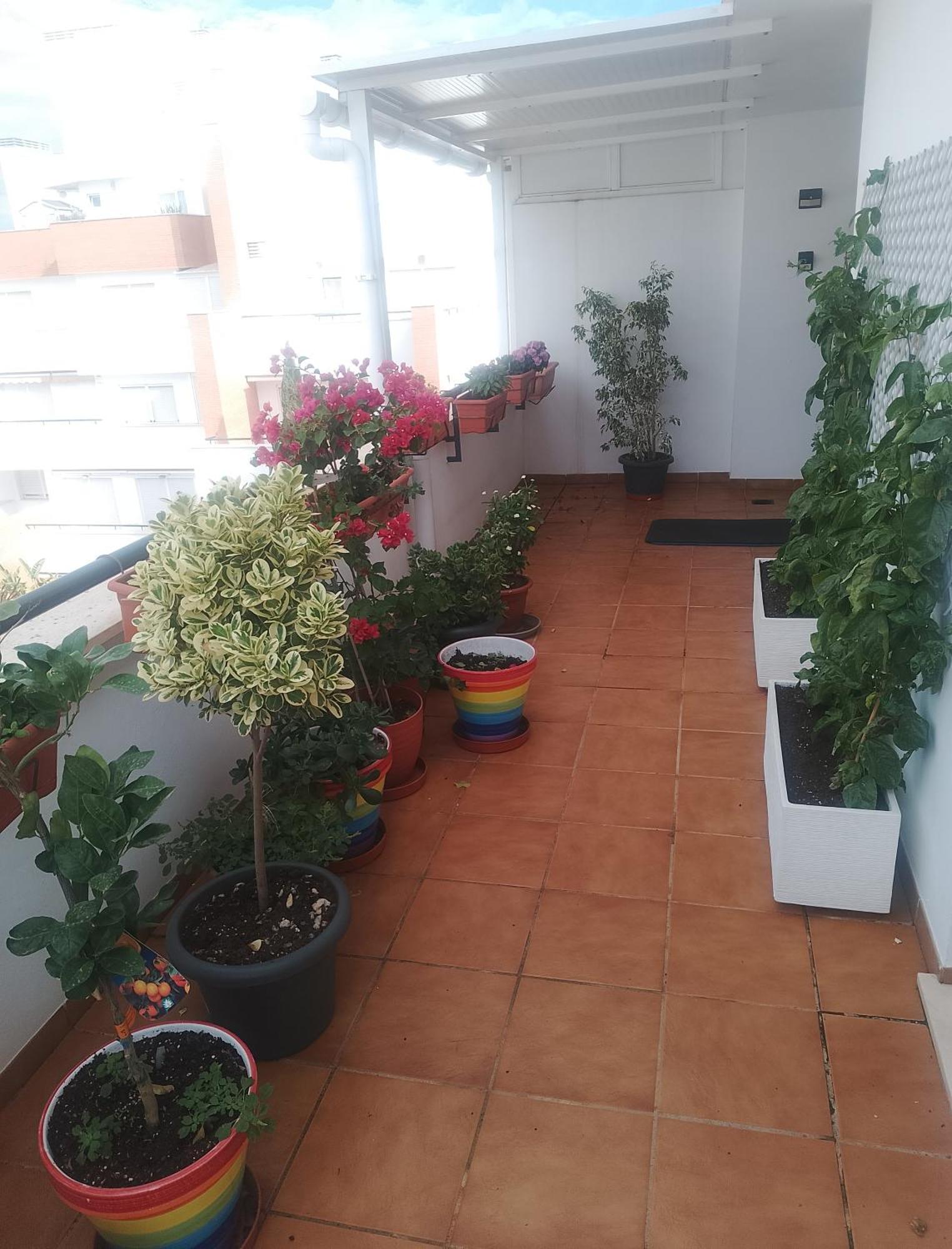 Apartmán Golf, Piscina,Playa Roquetas de Mar Exteriér fotografie