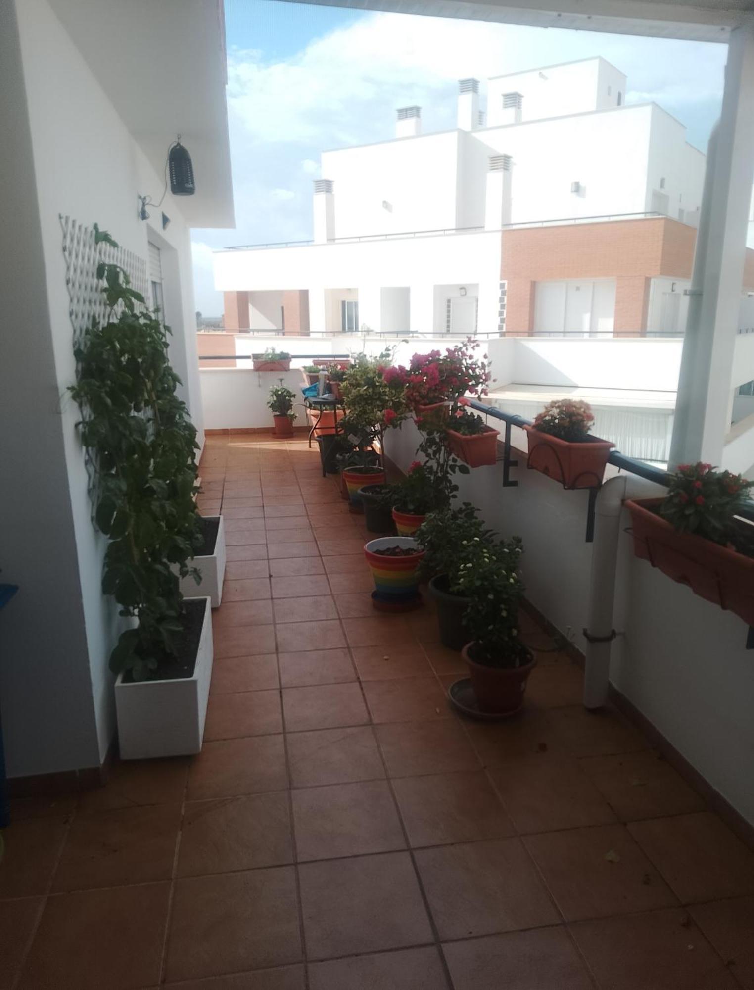 Apartmán Golf, Piscina,Playa Roquetas de Mar Exteriér fotografie